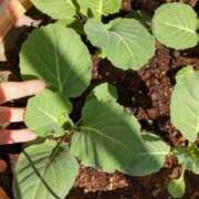 ヒメ日記 2026/02/14 11:05 投稿 ひまわり 熟女デリヘル倶楽部