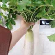 ヒメ日記 2026/02/16 08:18 投稿 ひまわり 熟女デリヘル倶楽部