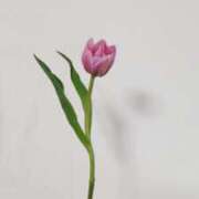 ヒメ日記 2026/02/19 23:52 投稿 ひまわり 熟女デリヘル倶楽部