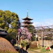 ヒメ日記 2026/02/21 16:00 投稿 ひまわり 熟女デリヘル倶楽部