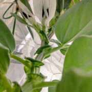 ヒメ日記 2026/02/22 09:20 投稿 ひまわり 熟女デリヘル倶楽部