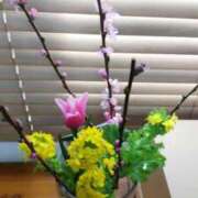 ヒメ日記 2026/02/23 15:46 投稿 ひまわり 熟女デリヘル倶楽部