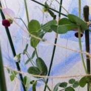 ヒメ日記 2026/02/24 10:05 投稿 ひまわり 熟女デリヘル倶楽部