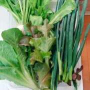 ヒメ日記 2026/03/06 17:17 投稿 ひまわり 熟女デリヘル倶楽部