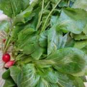 ヒメ日記 2026/03/08 12:19 投稿 ひまわり 熟女デリヘル倶楽部