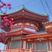 ヒメ日記 2026/03/12 12:16 投稿 ひまわり 熟女デリヘル倶楽部