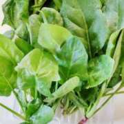 ヒメ日記 2026/03/15 10:42 投稿 ひまわり 熟女デリヘル倶楽部