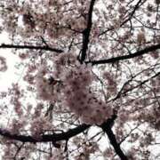 ヒメ日記 2026/03/22 15:33 投稿 ひまわり 熟女デリヘル倶楽部