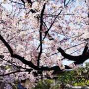 ヒメ日記 2026/03/30 14:56 投稿 ひまわり 熟女デリヘル倶楽部