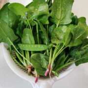 ヒメ日記 2026/04/05 10:05 投稿 ひまわり 熟女デリヘル倶楽部