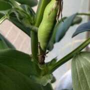 ヒメ日記 2026/04/06 09:16 投稿 ひまわり 熟女デリヘル倶楽部