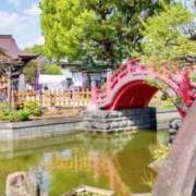 ヒメ日記 2026/04/11 14:24 投稿 ひまわり 熟女デリヘル倶楽部