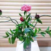 ヒメ日記 2026/04/18 13:00 投稿 ひまわり 熟女デリヘル倶楽部