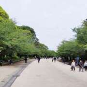 ヒメ日記 2026/04/24 12:03 投稿 ひまわり 熟女デリヘル倶楽部