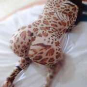 ヒメ日記 2025/10/02 13:10 投稿 環(たまき) 高知デリヘル倶楽部 人妻熟女専門店