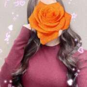 ヒメ日記 2026/02/24 11:30 投稿 あんな 大奥 梅田店