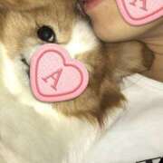 ヒメ日記 2025/04/16 20:16 投稿 あやこ 熟女家 東大阪店（布施・長田）