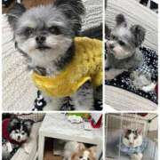 ヒメ日記 2025/11/10 22:46 投稿 あやこ 熟女家 東大阪店（布施・長田）