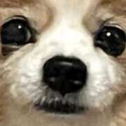 あやこ こんばんは🌉 熟女家 東大阪店（布施・長田）