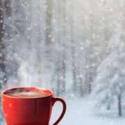 ヒメ日記 2026/01/29 08:34 投稿 ひなこ 完熟ばなな梅田