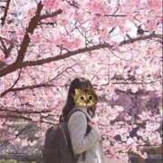 ヒメ日記 2026/04/04 12:24 投稿 ひなこ 完熟ばなな梅田