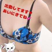 ヒメ日記 2025/04/18 20:06 投稿 結城 しずく 夜這い専門 発情する奥様たち梅田店