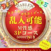 ヒメ日記 2025/01/02 18:03 投稿 べに 五反田アンジェリーク