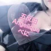 ヒメ日記 2025/01/04 16:41 投稿 べに 五反田アンジェリーク