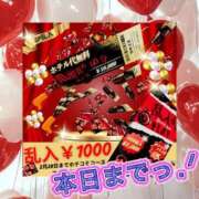 ヒメ日記 2025/02/28 16:09 投稿 べに 五反田アンジェリーク