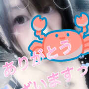 ヒメ日記 2025/06/05 12:16 投稿 べに 五反田アンジェリーク