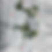 ヒメ日記 2025/07/15 13:33 投稿 べに 五反田アンジェリーク