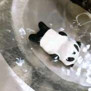 ヒメ日記 2025/07/19 16:23 投稿 べに 五反田アンジェリーク