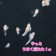 ヒメ日記 2025/07/29 16:48 投稿 べに 五反田アンジェリーク