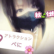 ヒメ日記 2025/09/23 16:51 投稿 べに 五反田アンジェリーク