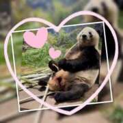 ヒメ日記 2025/11/18 14:40 投稿 べに 五反田アンジェリーク