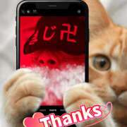 ヒメ日記 2025/12/02 08:18 投稿 べに 五反田アンジェリーク