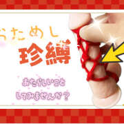 ヒメ日記 2026/01/03 12:30 投稿 べに 五反田アンジェリーク