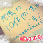 ヒメ日記 2026/01/15 13:24 投稿 べに 五反田アンジェリーク