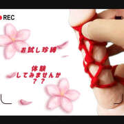 ヒメ日記 2026/03/23 18:37 投稿 べに 五反田アンジェリーク