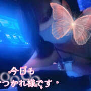 ヒメ日記 2026/03/25 00:34 投稿 べに 五反田アンジェリーク