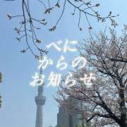 ヒメ日記 2026/04/01 00:59 投稿 べに 五反田アンジェリーク
