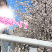 ヒメ日記 2026/04/04 00:33 投稿 べに 五反田アンジェリーク