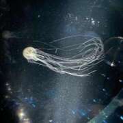 りい [お題]from:膝上15センチさん ドM女学園大阪