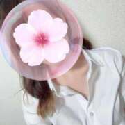 ヒメ日記 2026/04/03 00:37 投稿 沢城　なつみ ナディア名古屋店