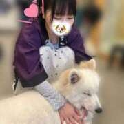 ヒメ日記 2025/08/19 18:15 投稿 あるの 舐めたくてグループ～君とサプライズ学園～越谷校