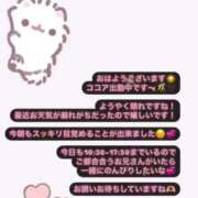 ヒメ日記 2025/04/04 09:31 投稿 ココア マテリアル