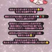 ヒメ日記 2025/04/05 10:31 投稿 ココア マテリアル