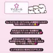 ヒメ日記 2025/04/06 12:16 投稿 ココア マテリアル