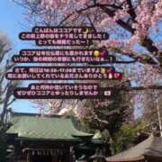 ヒメ日記 2025/04/10 22:16 投稿 ココア マテリアル