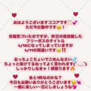 ヒメ日記 2025/04/11 10:16 投稿 ココア マテリアル